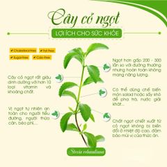 Đường Ăn Kiêng Ít Năng Lượng Herbal Sweet Domesco 50 gói