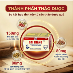 Viên giảm viêm đại tràng cấp và mãn tính Đại Tràng Tâm Bình (5 vỉ x 12 viên)
