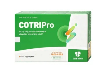 Viên uống bền thành mạch giảm trĩ Cotripro Thái Minh (2 vỉ x 10 viên)