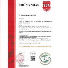 Trà Cà Gai Leo THÁI HƯNG Hạ men gan, mỡ gan, xóa mụn nhọt mẩn ngứa - Bịch 100 túi lọc 5g