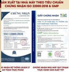 Trà Cà Gai Leo THÁI HƯNG Hạ men gan, mỡ gan, xóa mụn nhọt mẩn ngứa - Bịch 100 túi lọc 5g