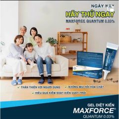 Gel diệt kiến MAXFORCE QUANTUM 0.03%, hiệu quả diệt kiến phổ biến, sản phẩm BAYER, tuýp 12g 779572