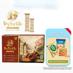 (Chính hãng) viên uống hỗ trợ giảm mệt mỏi, [ TPBVSK ĐÔNG TRÙNG HẠ THẢO PLATINUM LINH CHI VIỆT NHẬT ] H/30 viên