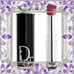 (Nhập Khẩu) [ không hộp ] Son Dưỡng Dior Addict Refill 667 Diormania Màu Hồng Khô Hàng Chuẩn
