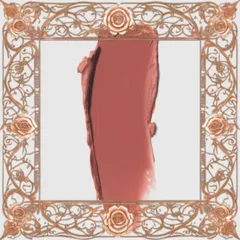 (Đẳng Cấp) Son Gucci Rouge À Lèvres Mat Limited Edition 208 Sắc Môi Sang Trọng và Tinh Tế Màu Hồng Cam Đất 