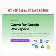 Tài khoản Canva Pro - Xóa Nền Nhanh, Hơn 100 Triệu Tài Nguyên Độc Quyền, Hỗ Trợ Thiết Kế Chuyên Nghiệp + Tặng Kèm Khóa Học Canva Pro Và Capcut Chỉnh Sửa Video