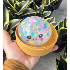 Đồ chơi squishy bóp mềm Bánh bao trân châu trong suốt - Không Đèn