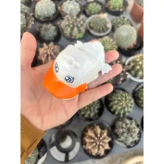 Đồ chơi nhựa - Vịt cắn tay mini