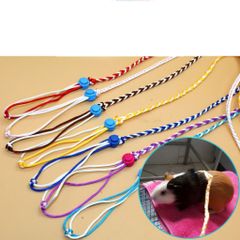 Dây dắt lụa mềm mịn cho chuột hamster, sóc, nhím, thỏ, bọ (60 màu tha hồ lựa)