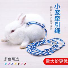 Dây dắt lụa mềm mịn cho chuột hamster, sóc, nhím, thỏ, bọ (60 màu tha hồ lựa)