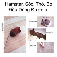 Dây dắt lụa mềm mịn cho chuột hamster, sóc, nhím, thỏ, bọ (60 màu tha hồ lựa)