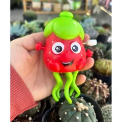 Đồ chơi nhựa sứa và hoa quả chạy dây thiều