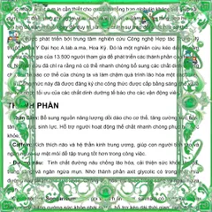 (Hàng Chuẩn) Combo 10 Viên Kẹo Sâm Đen Mentalk Malaysia Viên Cứng Giải Khát Khỏe Mạnh, Hương Vị Tự Nhiên, Snack Lành Mạnh Cho Người Yêu Thích Ẩm Thực Châu Á Nội Địa