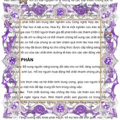 (Cao Cấp) Kẹo Sâm Vàng Spinach Malaysia Viên Cứng Giàu Dinh Dưỡng, Đặc Sản Ngon Miệng Cho Sức Khỏe Từ Thiên Nhiên Chính hãng Nhập Khẩu