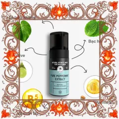 (Chính Hãng) Dung dịch vệ sinh nam dạng bọt Shell Pure Peppermint Extract 100ml Hương bạc hà tươi mát, sạch sẽ, tự tin mỗi ngày Cao Cấp