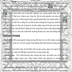 (Cao Cấp) Combo 10 Viên Kẹo Sâm Vàng Spinach Malaysia Hỗ Trợ Tăng Cường Sức Khỏe Viên Cứng Dinh Dưỡng cho Cơ Thể Khỏe Mạnh Chính hãng Mẫu Mới