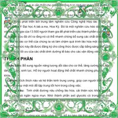 (Đẳng Cấp) Hộp 30 Viên Kẹo Sâm Đen Mentalk Malaysia Viên Cứng Tốt Cho Sức Khỏe, Thực Phẩm Bổ Dưỡng, Hỗ Trợ Năng Lượng Chính hãng Đầy Đủ
