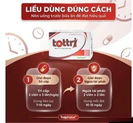 Viên hỗ trợ làm giảm triệuu chứngg trĩ nội, trĩ ngoại Tottri Traphaco (3 vỉ x 10 viên)