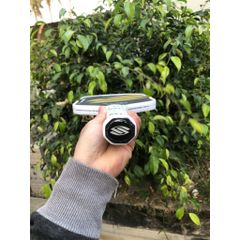 Vợt pickleball Selkirk Boomstik Project 003 Elongated , lõi tổ ong, mặt carbon , 16mm màu đen - vàng