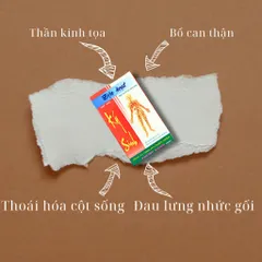 Độc Hoạt Ký Sinh Phước Sanh Pharma
