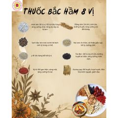 Thang Hầm Gà/Thịt 8 - 10 Vị Hàng Cao Cấp Chất Lượng Cao