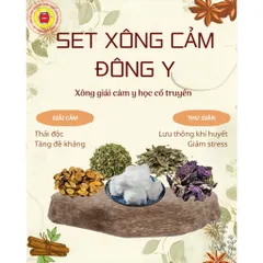 SET XÔNG THẢO DƯỢC GIẢI CẢM ĐÔNG Y PHƯỚC SANH PHARMA