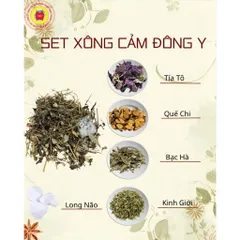SET XÔNG THẢO DƯỢC GIẢI CẢM ĐÔNG Y PHƯỚC SANH PHARMA