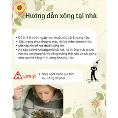 SET XÔNG THẢO DƯỢC GIẢI CẢM ĐÔNG Y PHƯỚC SANH PHARMA