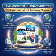 Viên uống tăng cường tuần hoàn não, giảm rối loạn tiền đình Bổ Não Ích Trí Gold (60 viên)