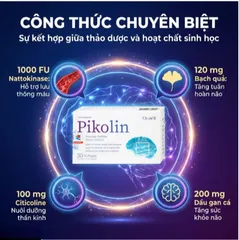 Viên uống hỗ trợ tăng tuần hoàn máu não, giảm nguy cơ hình thành cục máu đông Pikolin Ocavill (2 vỉ x 15 viên)