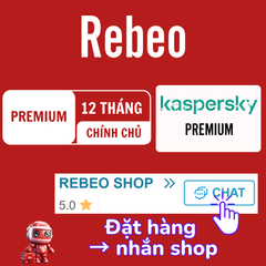 Phần Mềm Kaspersky Diệt Virus Giá Rẻ Tại REBEO Shop