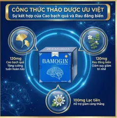 Viên uống tăng cường tuần hoàn não, cải thiện trí nhớ Bamogin Thành Công (6 vỉ x 10 viên)