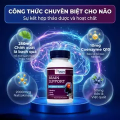 Viên uống bổ não, hỗ trợ cải thiện suy giảm trí nhớ Brain Support Pharma World (60 viên)