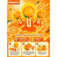 Thùng 2,5kg Thạch Que Kem Zhaoxian Mix Vị Dưa Gang Chanh Vàng Trà Sữa - Thạch Trái Cây 3D Dai Ngon Cho Bé Ăn Vặt