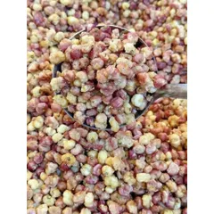 Ngô Nếp Tím Rang Củi Đặc Sản Điện Biên Túi 300g - Ngô Sóc Mắm Cay Giòn Rụm Bùi Béo Đồ Ăn Vặt Gói Lớn Siêu Hời