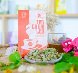 Trà Cà Gai Leo THÁI HƯNG  - Hộp 25 túi lọc 5g Giải độc gan, mát gan, hạ men gan, mỡ gan