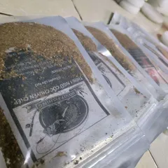 THÍNH NGŨ CỐC CHUYÊN CHÉP TN