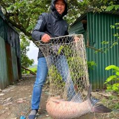 THÍNH THUÔC BẮC CHUYÊN ĐEN TN1