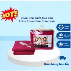 [CHUYÊN SỈ CHÍNH HÃNG] Chăn điện đệm sưởi cao cấp LOTTE Hàn Quốc