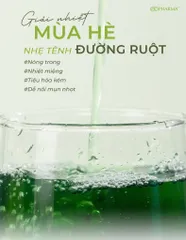 Phan Tả Diệp Senna Detox Pk Pharma Bổ Sung Chất Sơ Hỗ Trợ Tiêu Hóa Thải Độc Ruột