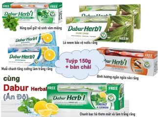 Kem đánh răng thảo dược Ân Độ Dabur's Herbal 150g kèm bàn chải đánh răng