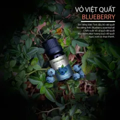 Bộ 10 Chai Tinh Dầu Thơm MOKUJIKO Favorite Fruit, hương trái cây tự nhiên, khử mùi 788813