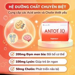 Dung dịch giúp trẻ ăn ngon miệng Antot IQ Traphaco (20 ống)