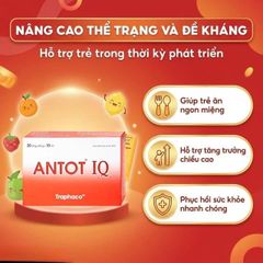 Dung dịch giúp trẻ ăn ngon miệng Antot IQ Traphaco (20 ống)