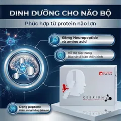 Viên hỗ trợ tăng khả năng tập trung Cebrium Ever Pharma (3 vỉ x 10 viên)