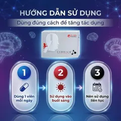 Viên hỗ trợ tăng khả năng tập trung Cebrium Ever Pharma (3 vỉ x 10 viên)