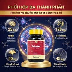 Cebraton Premium Traphaco 30 viên – Hỗ trợ bổ não, hoạt huyết và tăng khả năng tập trung