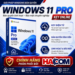 Key Tài Khoản Bản QUyền Win 10/11 Pro OEM  Online 1PC