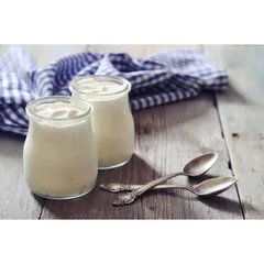MÁY LÀM SỮA CHUA STEBA JM3 (HÀNG ĐỨC)
