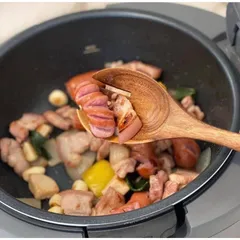 NỒI TỰ ĐẢO OHELLA MASTER MULTICOOKER
